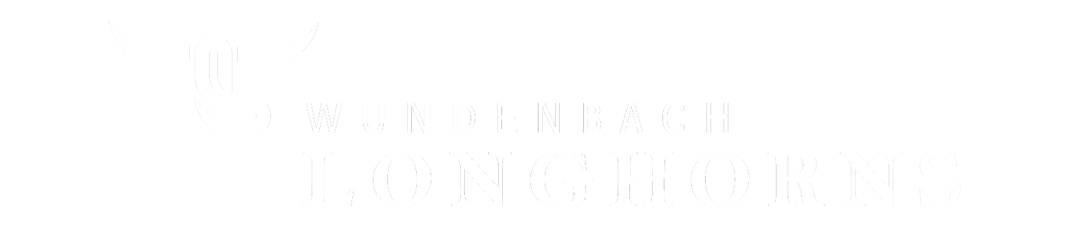 Wundenbach Longhorns